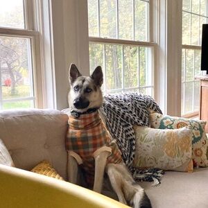 Jax & Molly’s Fleece Dog Jacket. Sz: Med/Lg